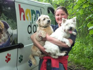 martlesham dog day care