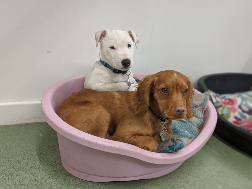 00100lrPORTRAIT_00100_BURST20200224113528837_COVER