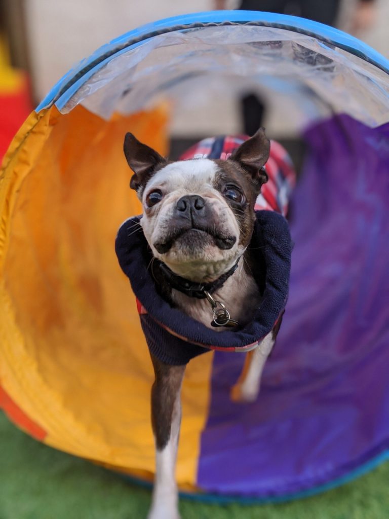 00100lrPORTRAIT_00100_BURST20200312141701677_COVER