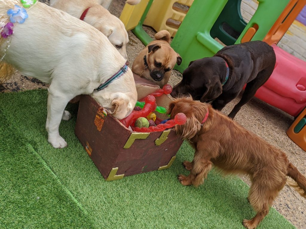 00100lrPORTRAIT_00100_BURST20200318131327775_COVER