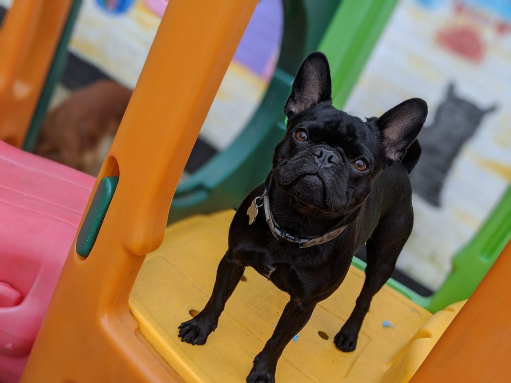 00100lrPORTRAIT_00100_BURST20200318133704278_COVER