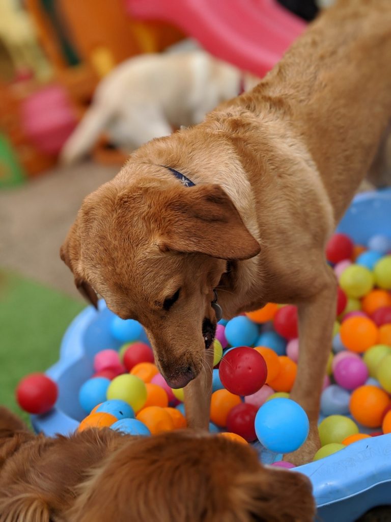 00100lrPORTRAIT_00100_BURST20200318135159270_COVER