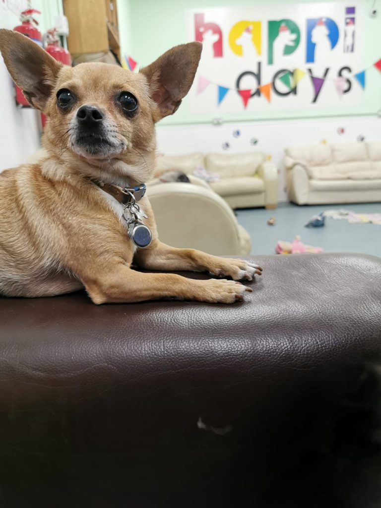 IMG-20190813-WA0008 (002)