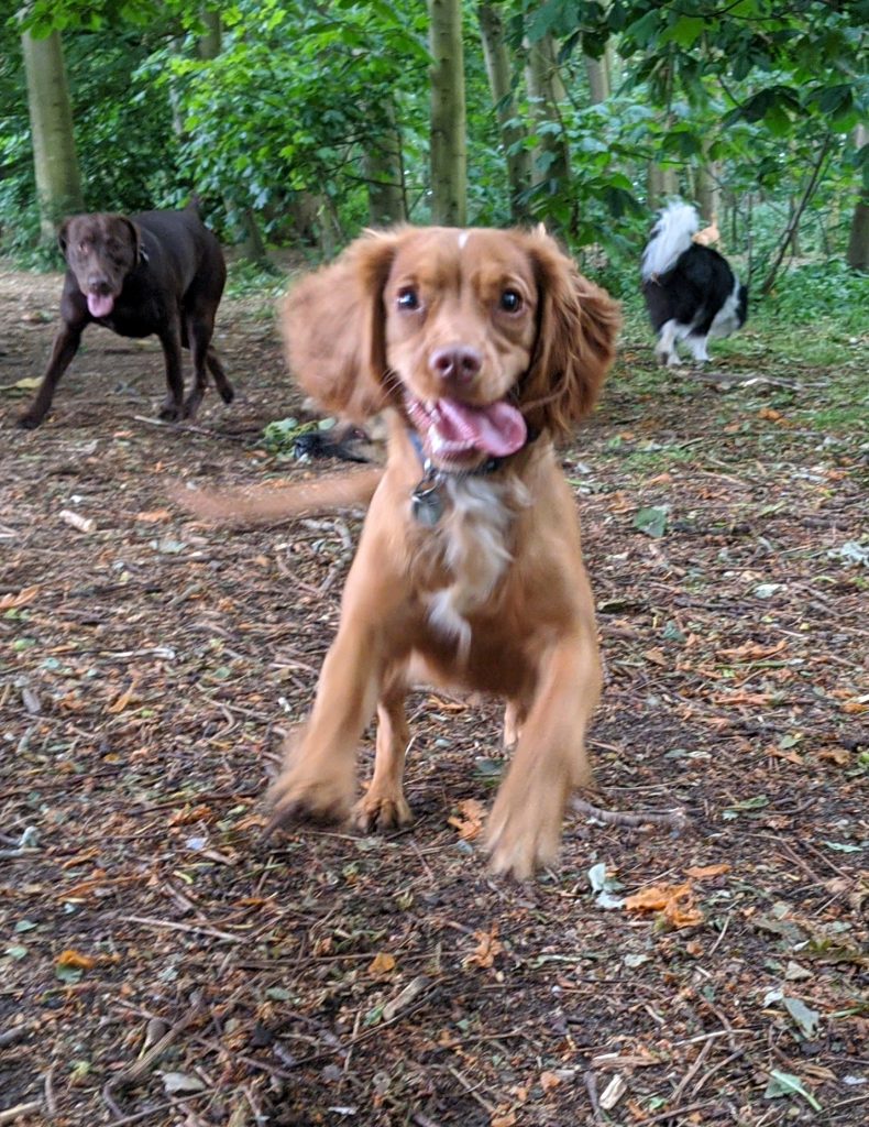 IMG_20200608_103520_2