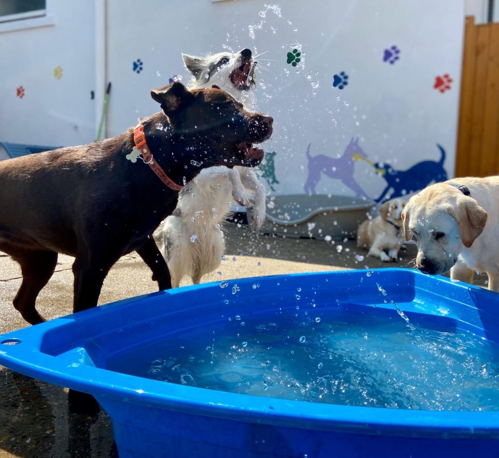 PHOTO-2020-05-21-13-11-08_2