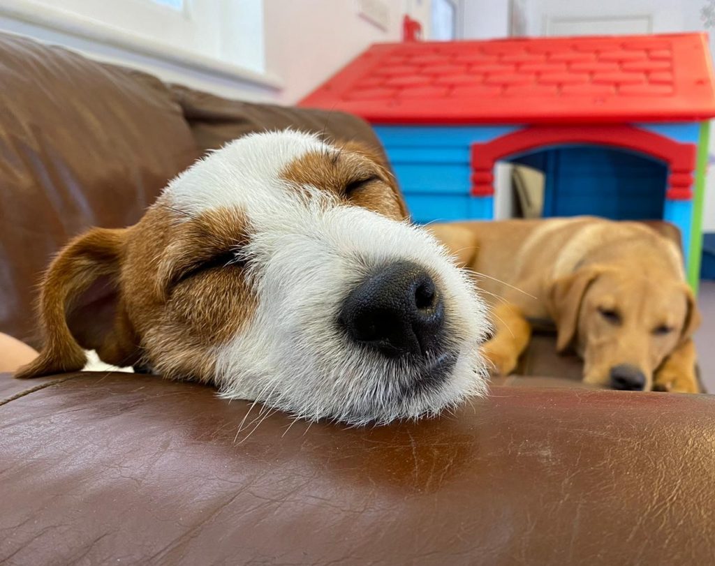 PHOTO-2020-05-22-15-55-38