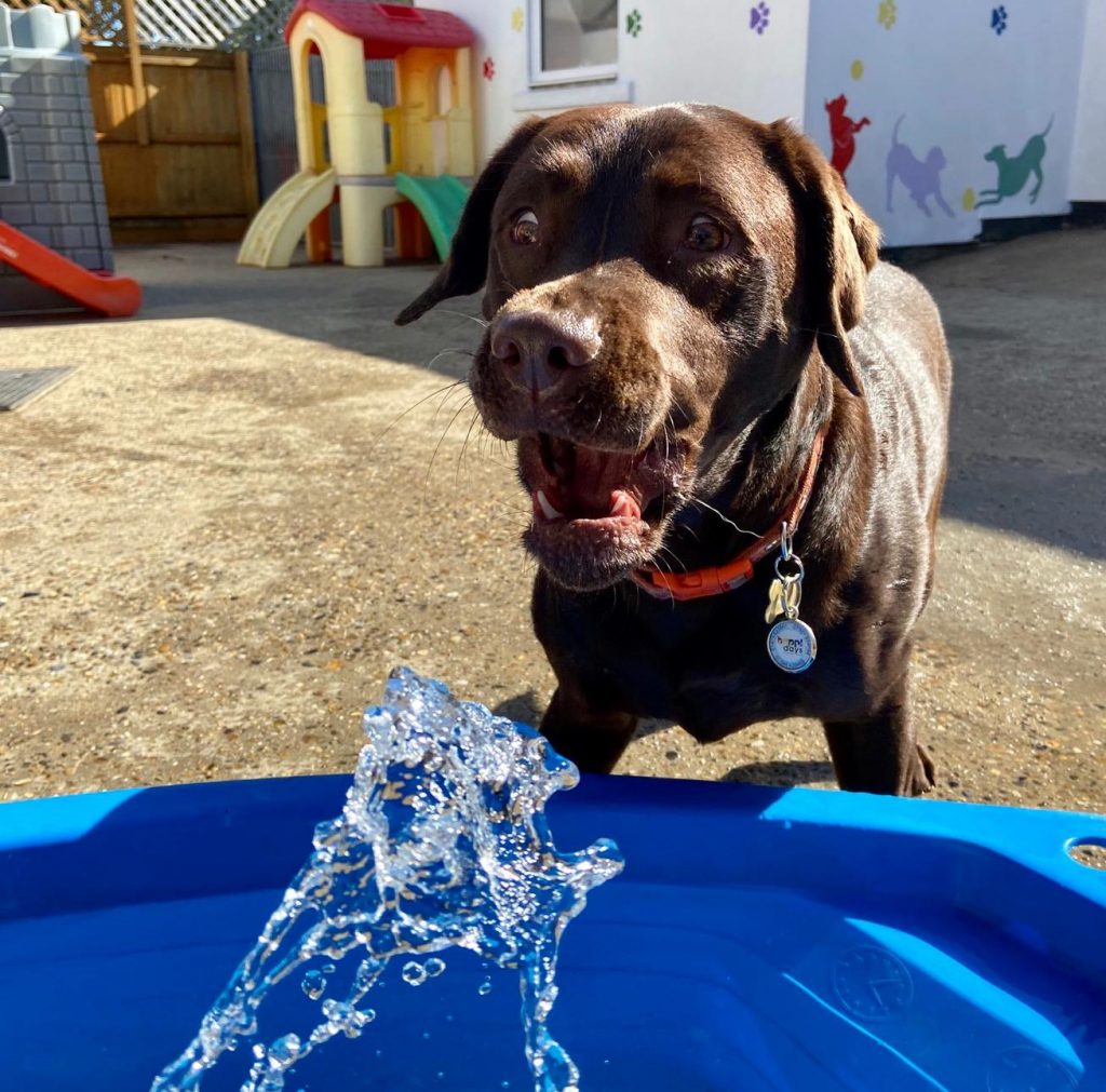 PHOTO-2020-05-28-13-56-38