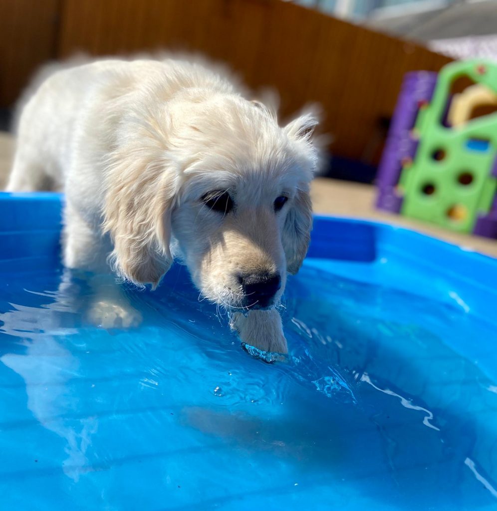 PHOTO-2020-05-28-13-57-23