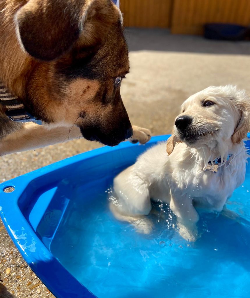 PHOTO-2020-05-28-13-57-30