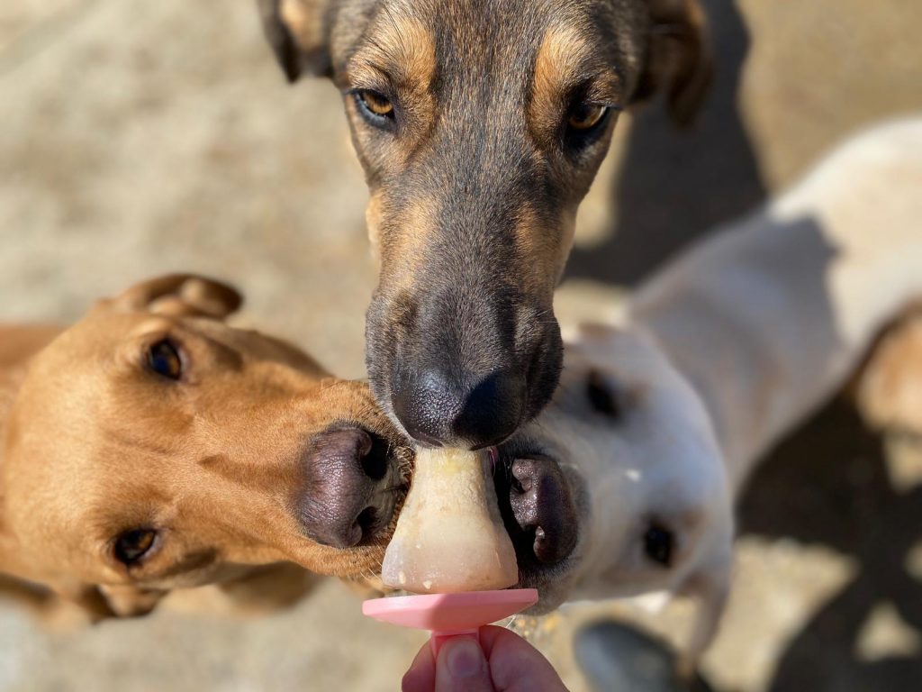 PHOTO-2020-05-28-15-58-32