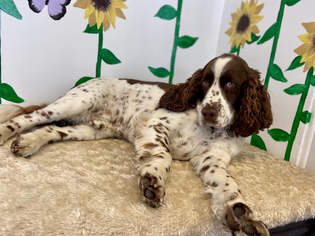 PHOTO-2020-06-04-12-58-11