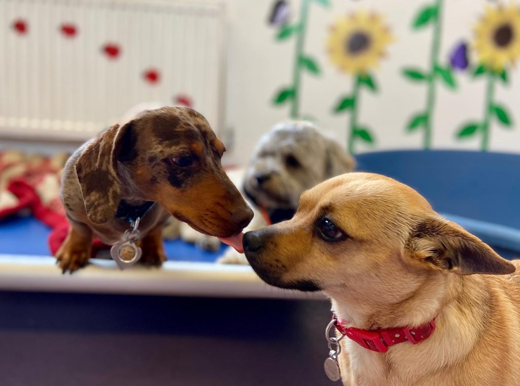 PHOTO-2020-06-05-11-40-00