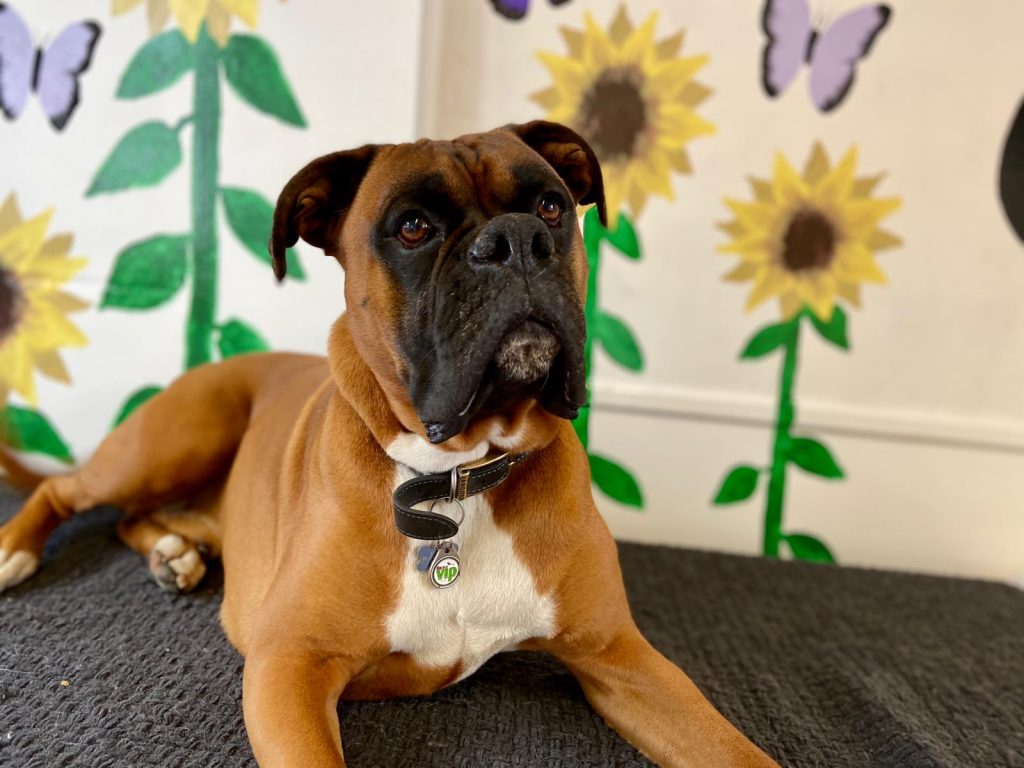 PHOTO-2020-06-05-11-40-01