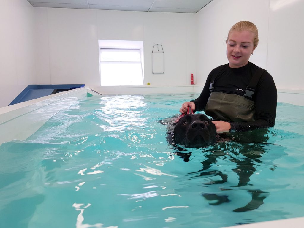 Hydrotherapy in Suffolk