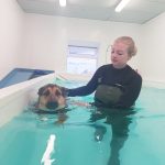 What is Dog Hydrotherapy?