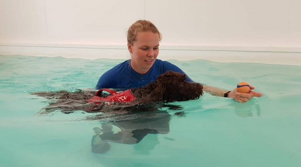 Canine Hydrotherapy