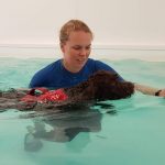 Canine Hydrotherapy