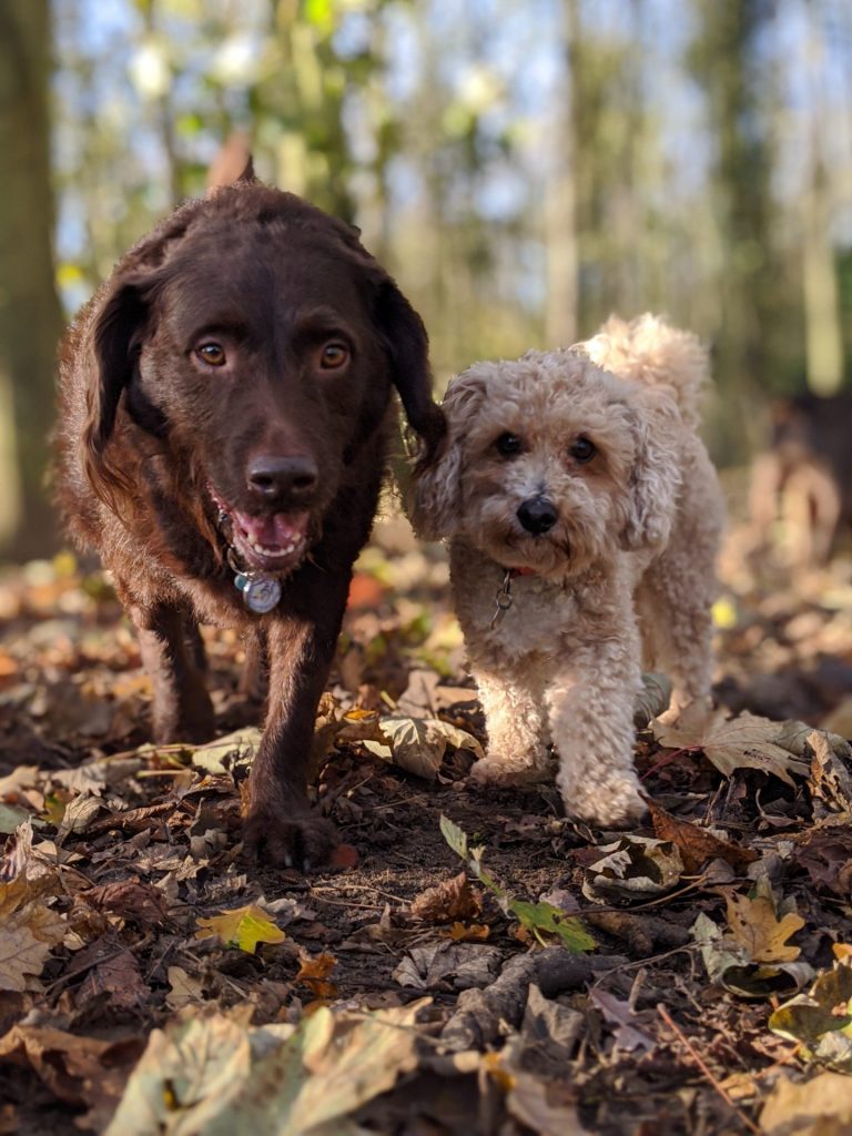 00100lrPORTRAIT_00100_BURST20201118103938016_COVER