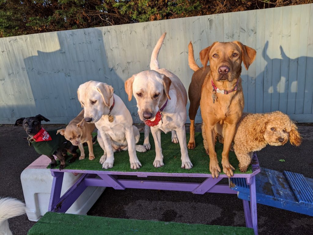 Happi Rendle line up.