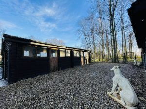 Underfloor heated and Air-conditioned private room at night for dog stay.