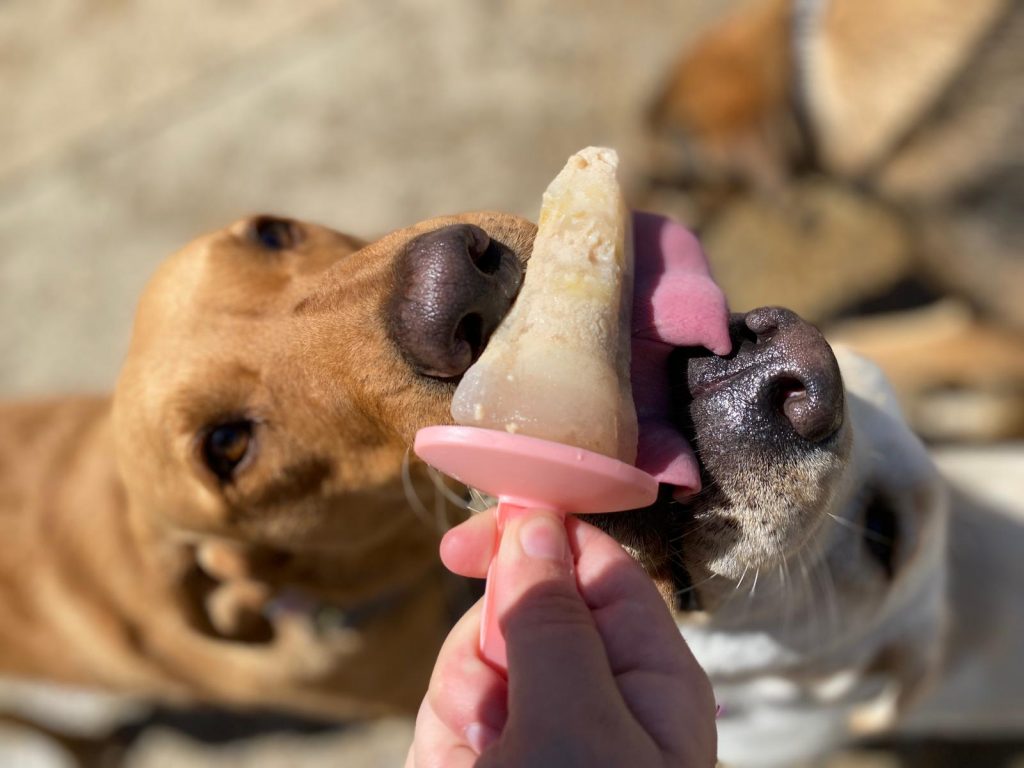 PHOTO-2020-05-28-15-58-33_1