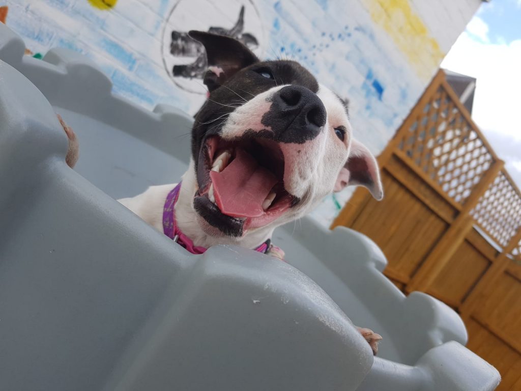 PHOTO-2020-06-05-14-50-32_1 - Copy