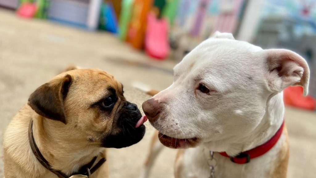 PHOTO-2020-06-10-13-16-35_4