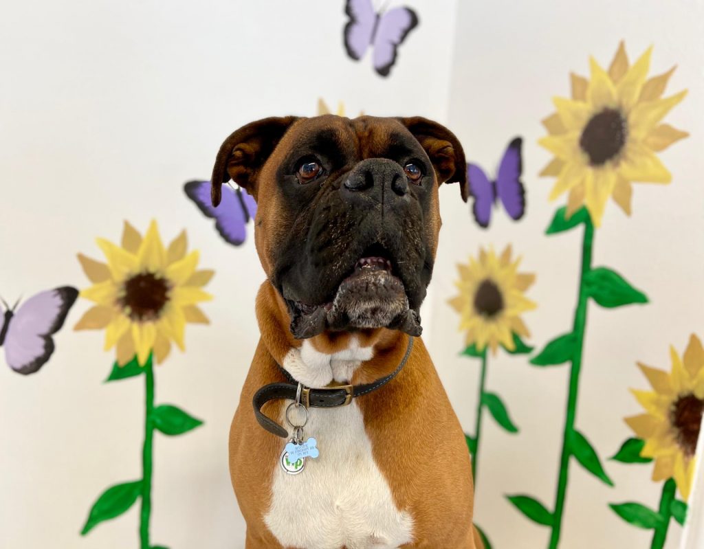 PHOTO-2020-06-12-13-10-51_1