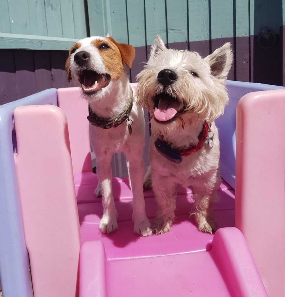 PHOTO-2020-06-15-14-41-24 - Copy