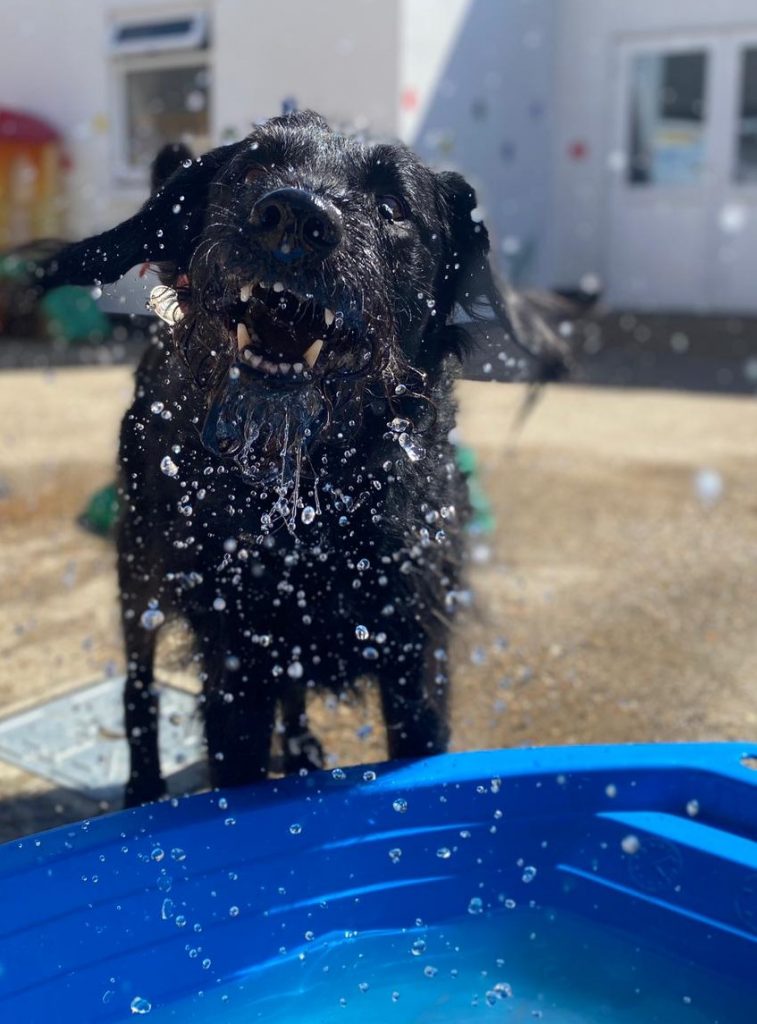 PHOTO-2020-06-15-15-45-21