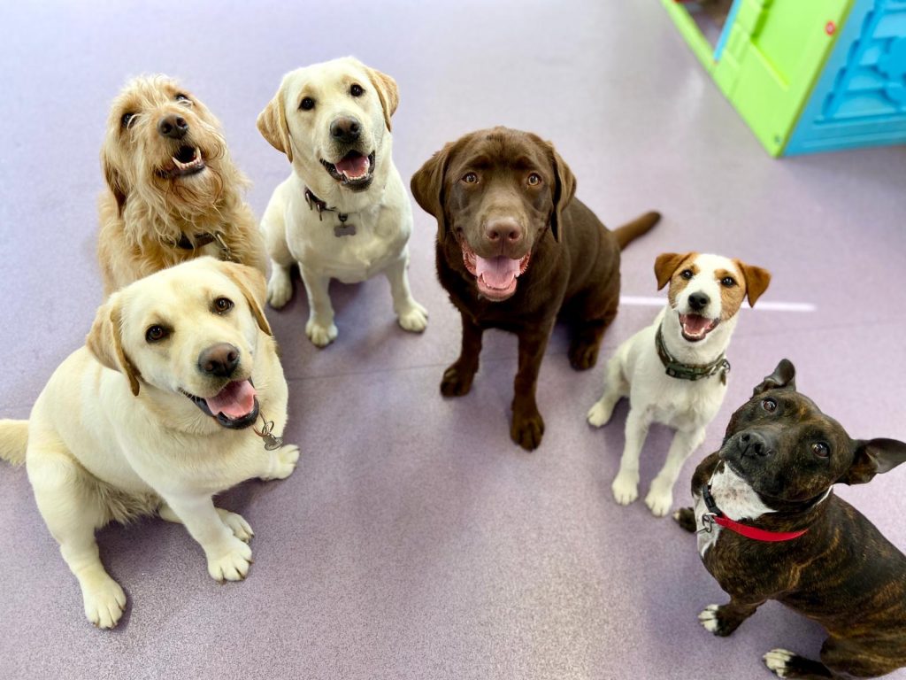 PHOTO-2020-06-17-14-02-36