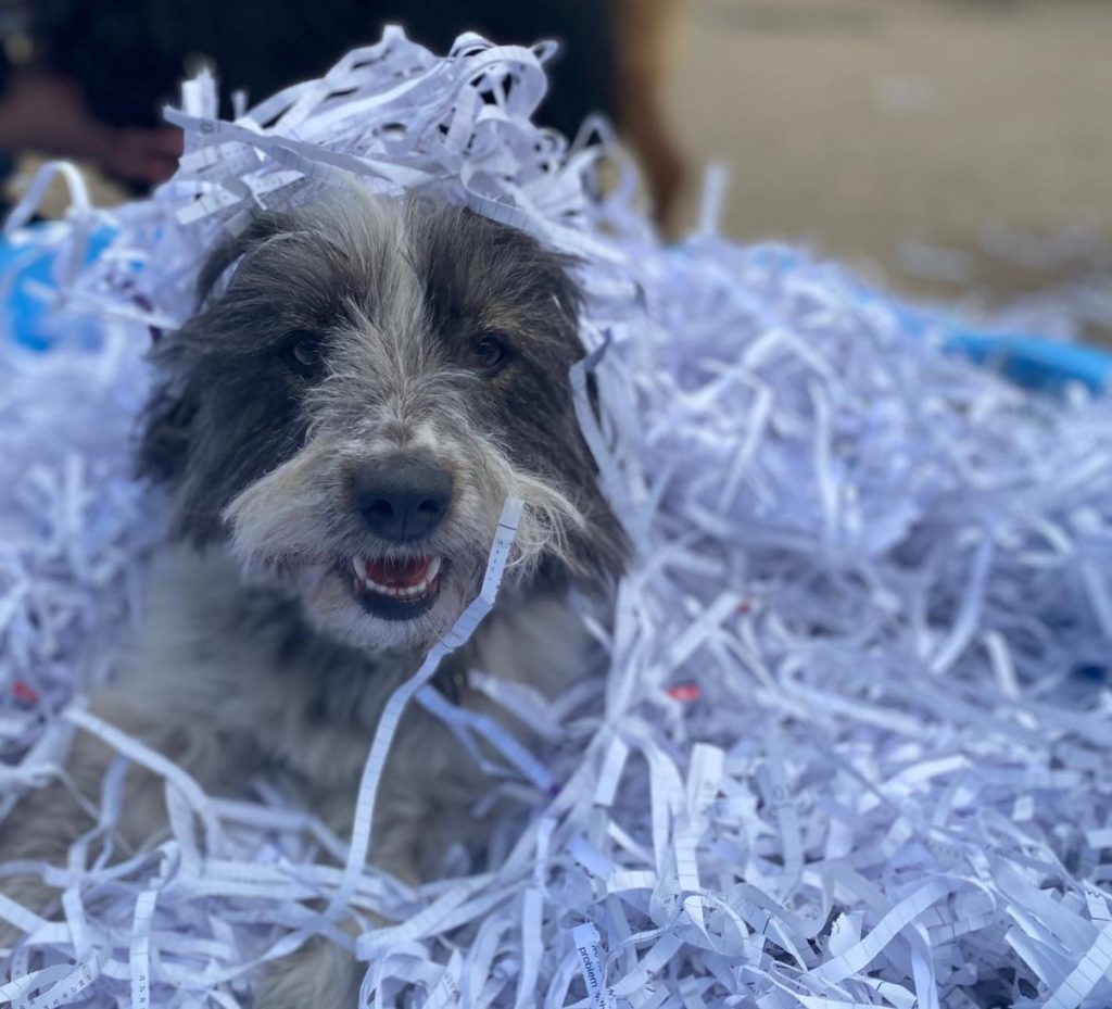 PHOTO-2020-06-18-15-46-20_1 - Copy