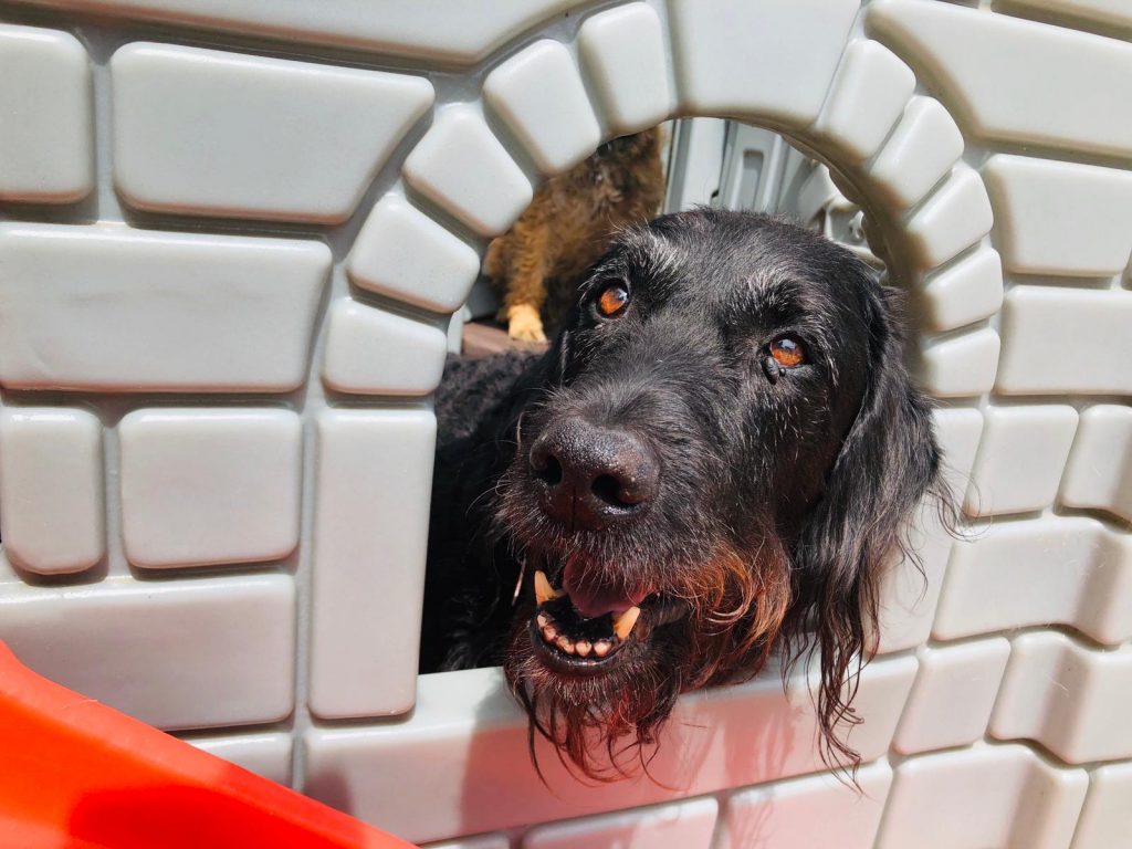 PHOTO-2020-06-19-13-57-46 - Copy