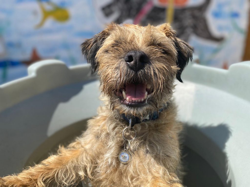 PHOTO-2020-06-23-15-25-53