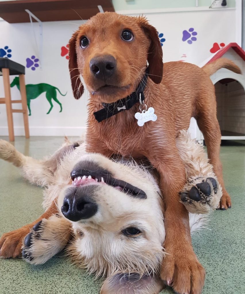 PHOTO-2020-06-24-14-50-40_3