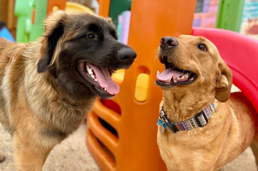 PHOTO-2020-06-30-12-38-47_1