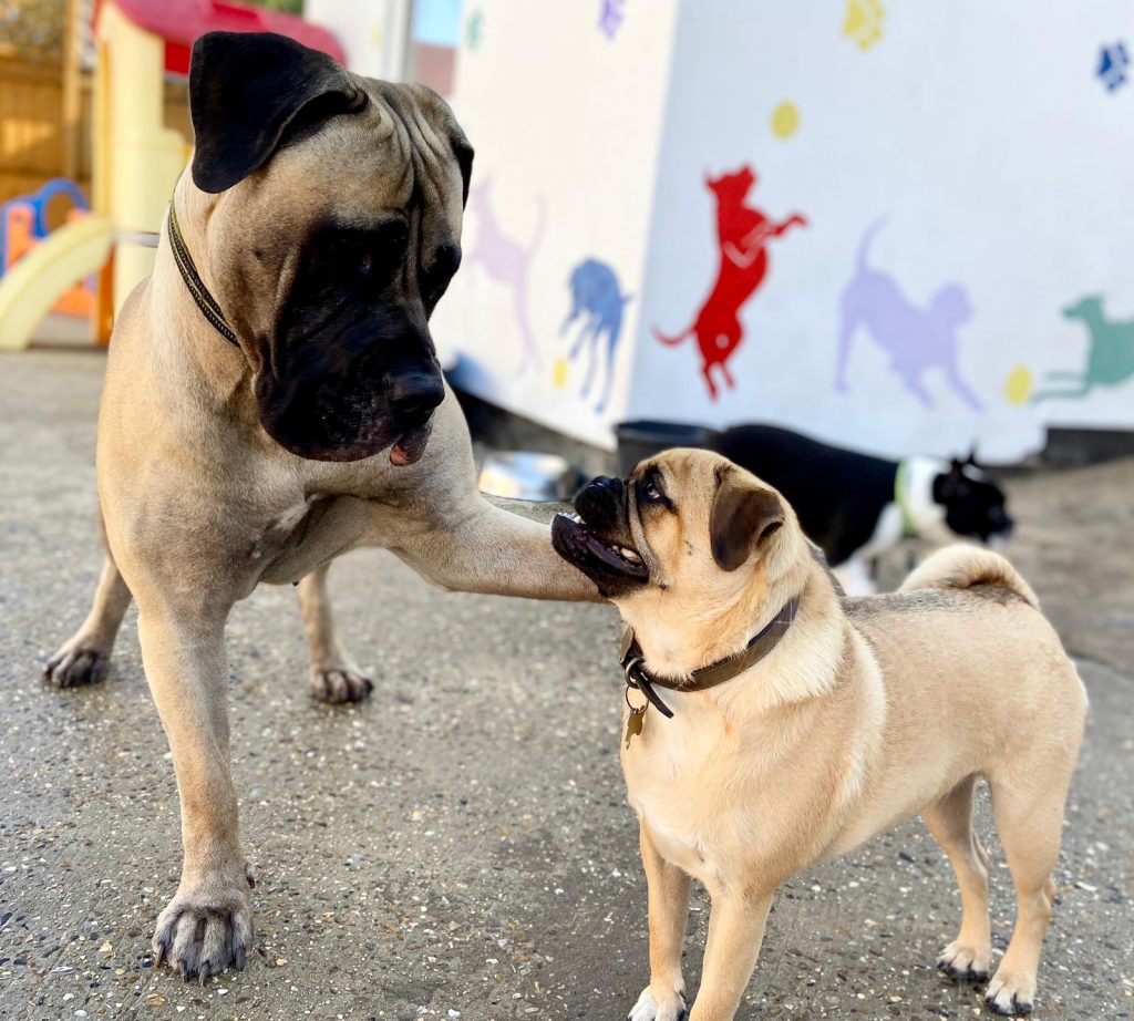 PHOTO-2020-07-02-12-49-30