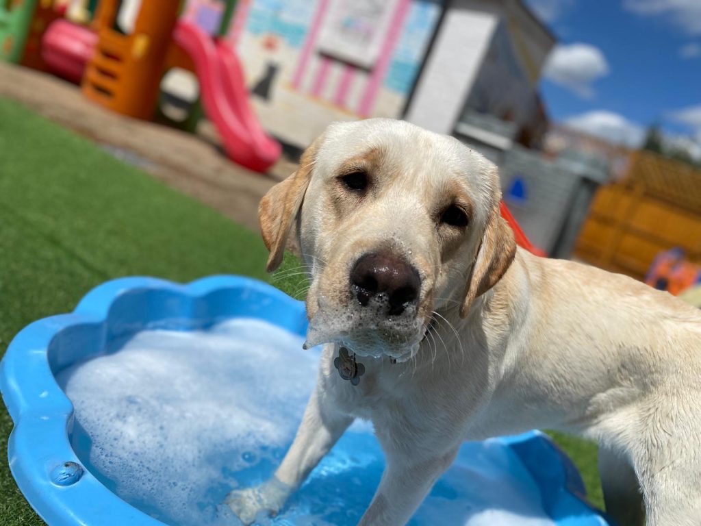 PHOTO-2020-07-20-15-39-05_1