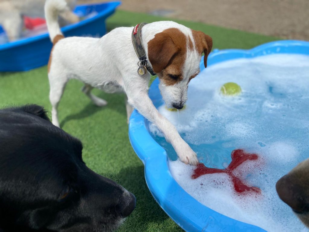 PHOTO-2020-07-20-15-40-52_1