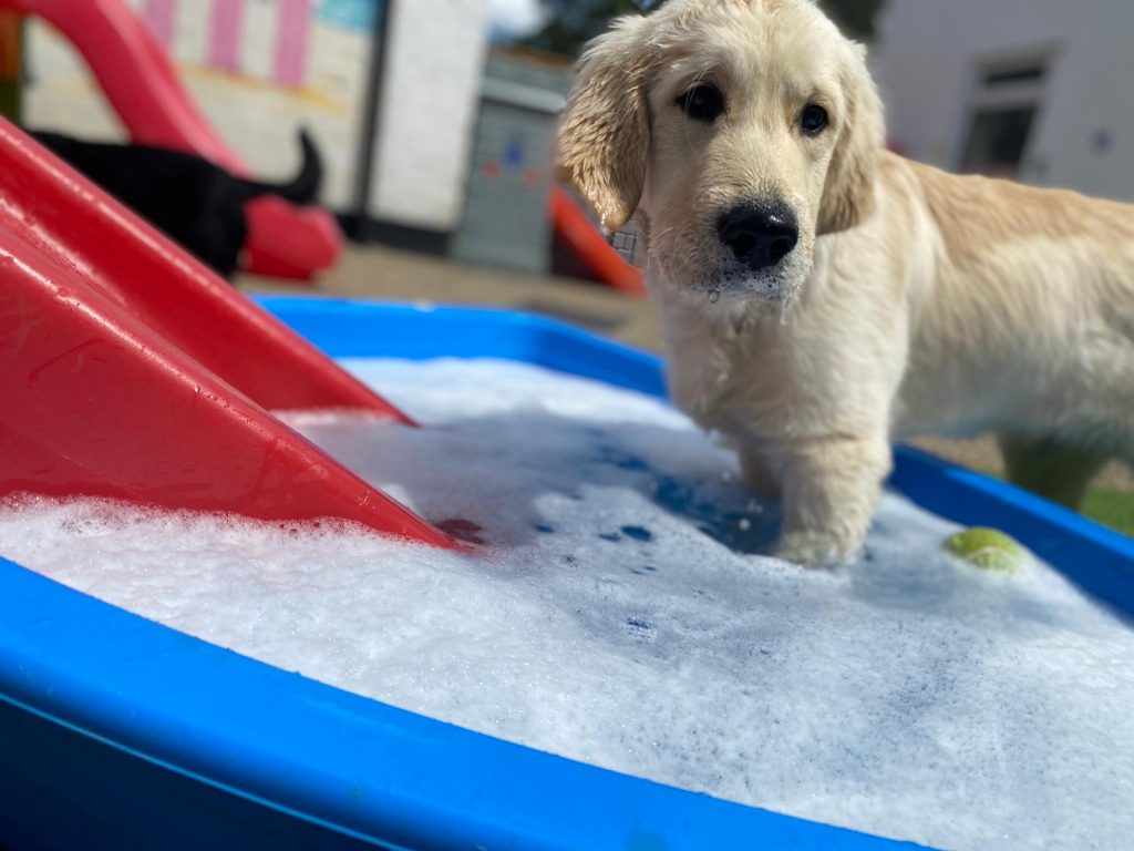 PHOTO-2020-07-20-15-40-55