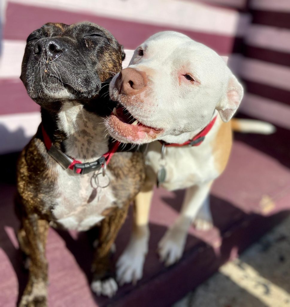 PHOTO-2020-08-05-11-34-56