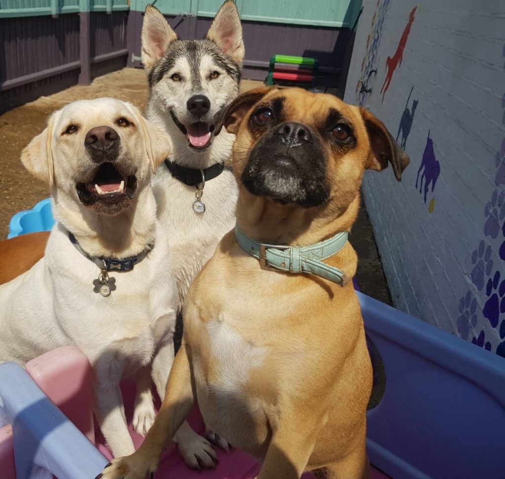 PHOTO-2020-08-12-14-29-21