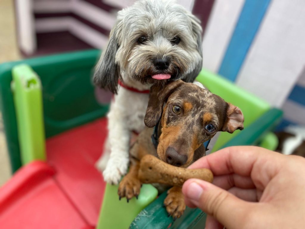 PHOTO-2020-08-14-15-10-38 - Copy