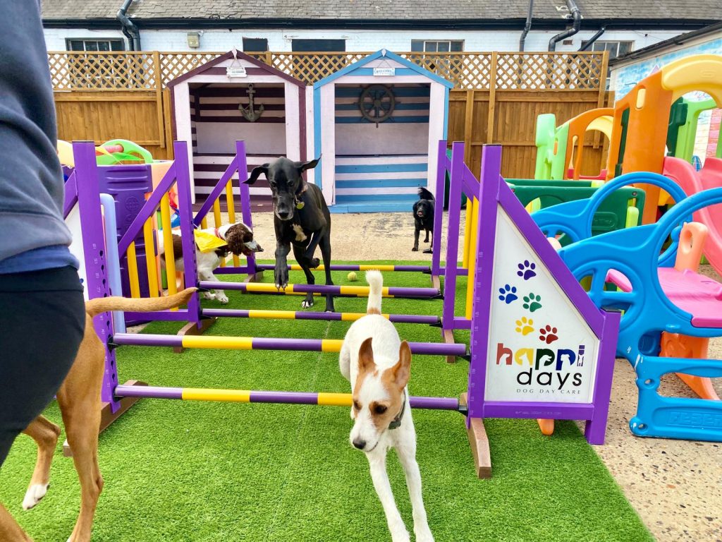 PHOTO-2020-08-21-15-41-37_1