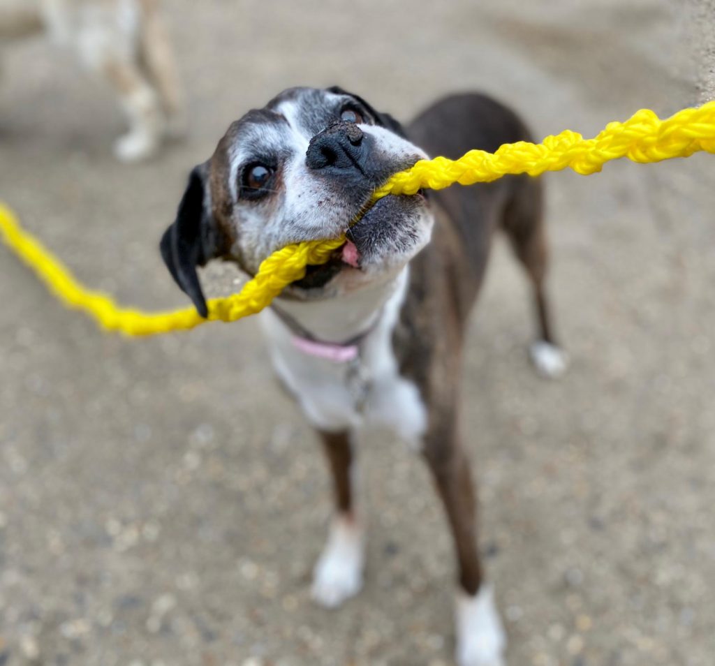 PHOTO-2020-08-27-16-19-05_1