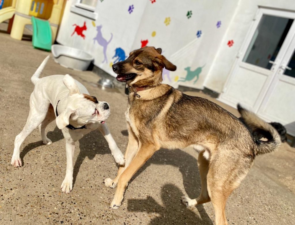 PHOTO-2020-09-01-16-11-44