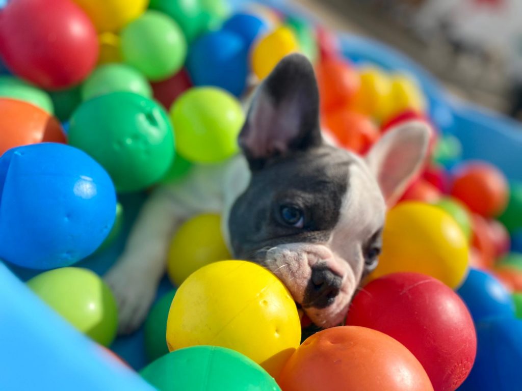 PHOTO-2020-09-04-15-27-35_1