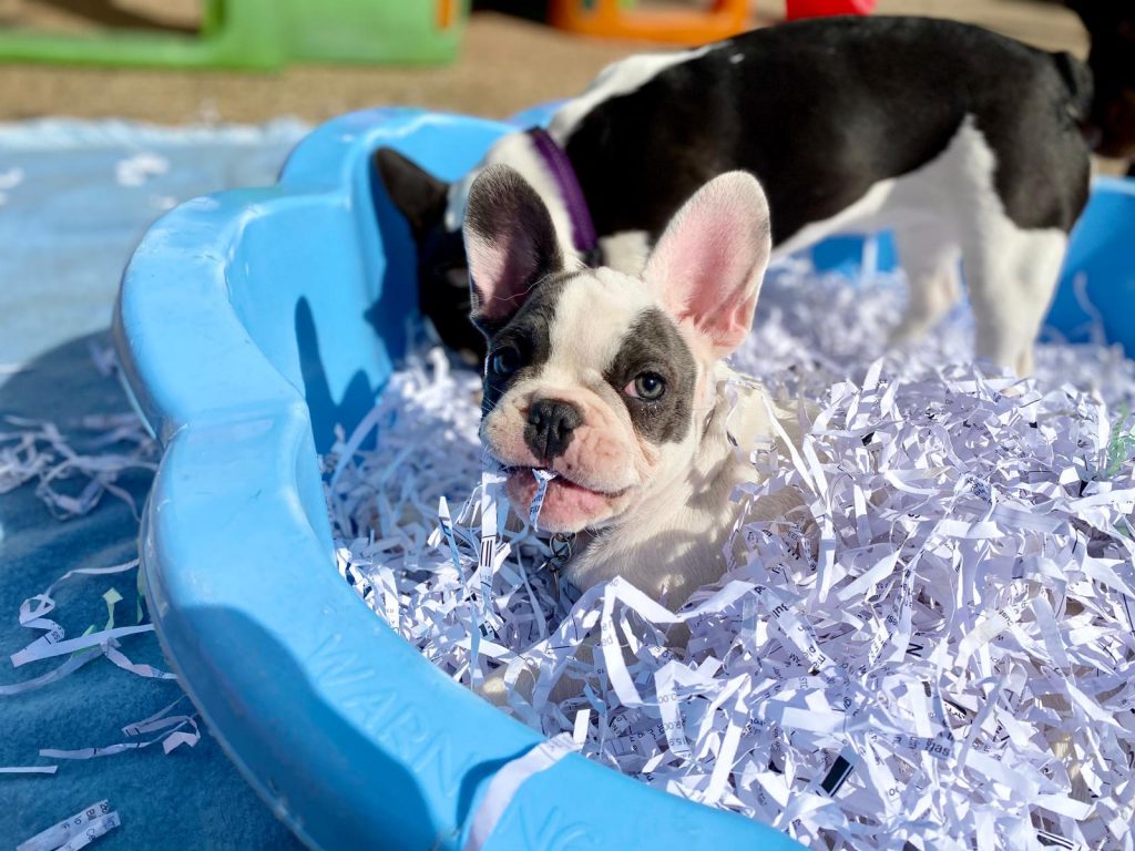 PHOTO-2020-09-10-16-44-54_1