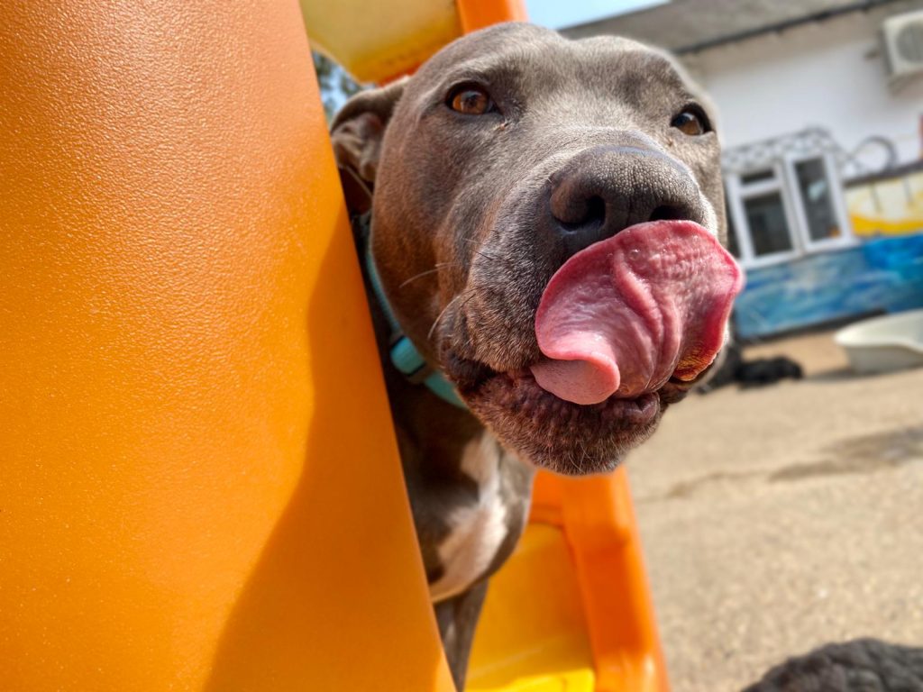 PHOTO-2020-09-11-16-22-35