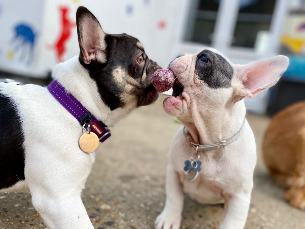 PHOTO-2020-09-11-16-23-07